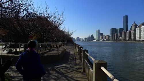 NYC_2012-11-17 10-54-44_P1070069